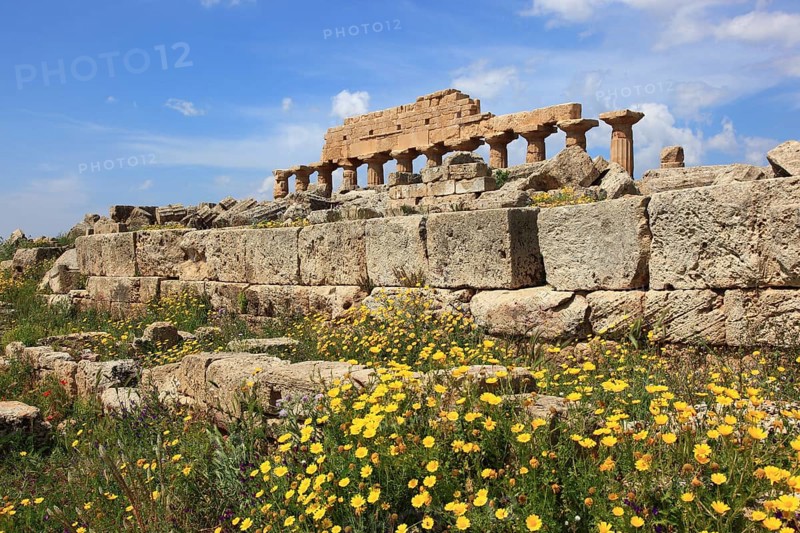 Selinunte, remains of the temples of the acropolis in the archaeological site of Selinunte, Trapani province, Sicily, Italy, Europe