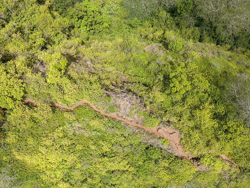 Aerial view of Sleeping Giant East Trailhead, Nounou Forest Reserve, Wailua, Kauai, Hawaii, USA, North America