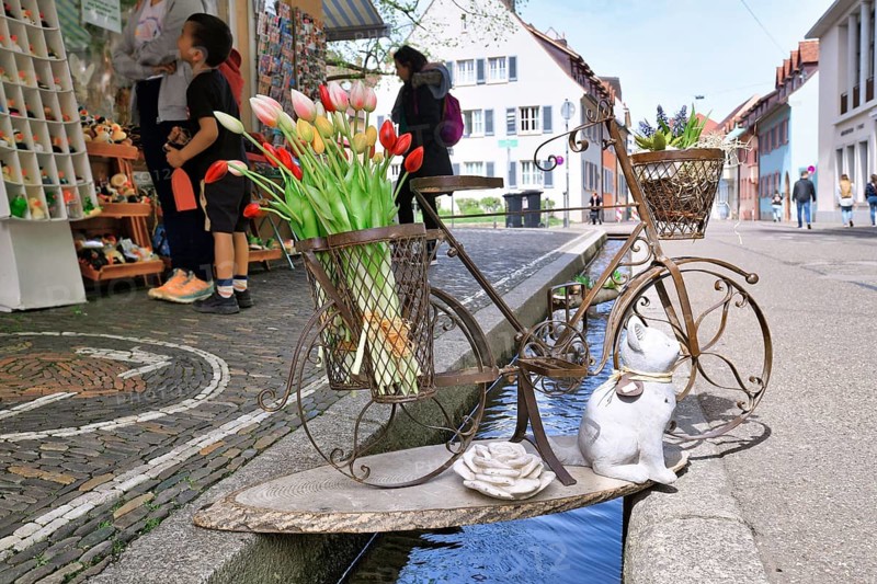 Freiburg, Germany, April 2022: Decorative bicycle with tulip flowers over stream called 'Bächle' leading through city center, Europe