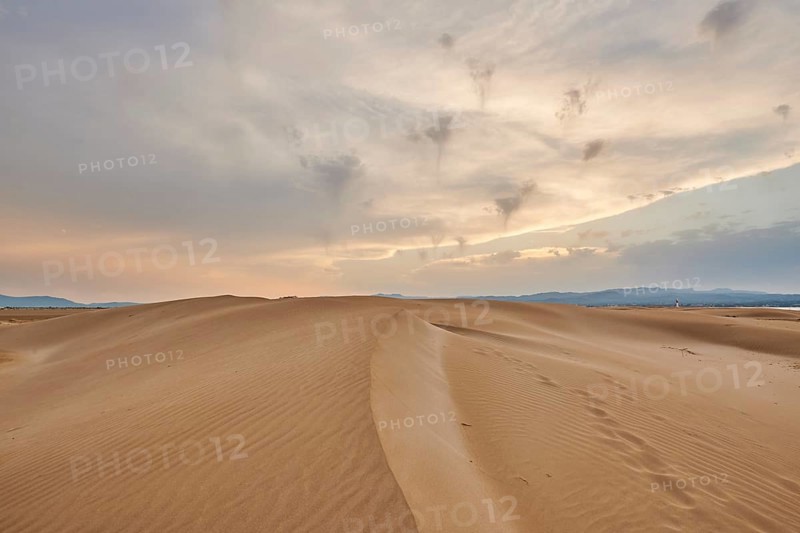 Beach "Platja del Fangar", sand dunes, Vegetation, nature reserve, ebro delta, Catalonia, Spain, Europe
