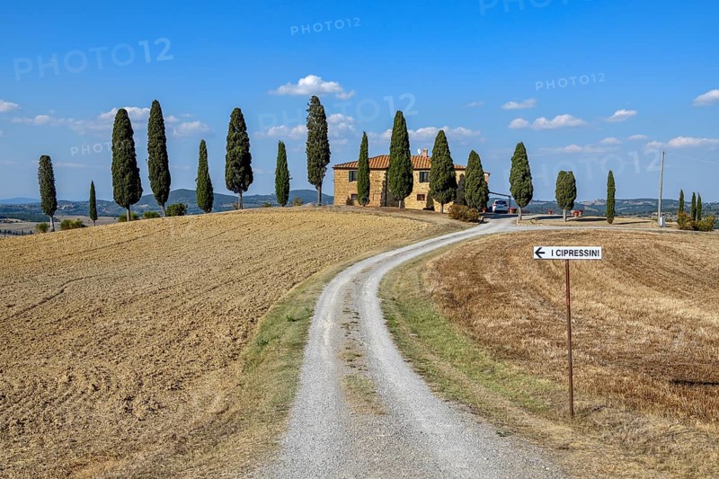 Cypresses in front of a country house, near Pienza, Val d'Orcia, Orcia Valley, Tuscany, Italy, Europe