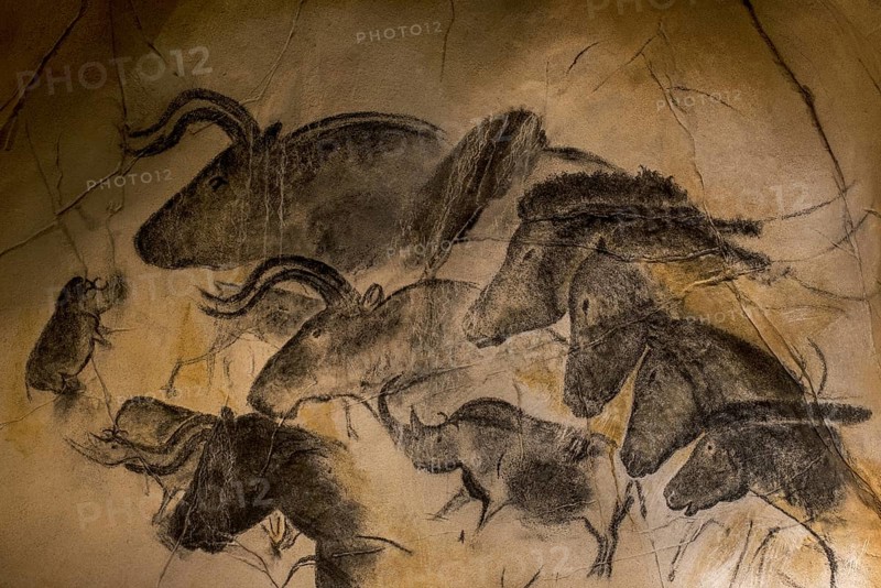 Replica of prehistoric rock paintings of the Chauvet Cave, Chauvet-Pont-d'Arc Cave, Ardèche, France, showing extinct animals woolly rhinoceros (Coelodonta antiquitatis), wild horses and aurochs (Bos primigenius) bulls, Europe