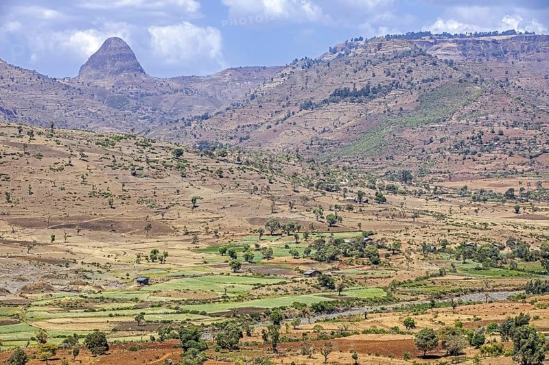 Countryside showing farms with green fields in barren landscape along the road from Bahir Dar to Gondar in Northern Ethiopia