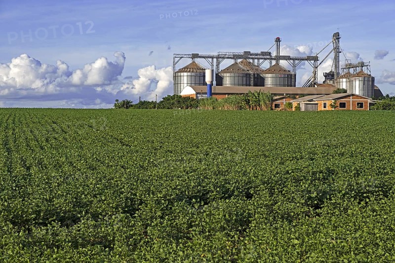 Farm with large Comil silos to store harvested soyabeans, soya beans in the middle of soybean fields in rural Alto Paraná, Paraguay, South America