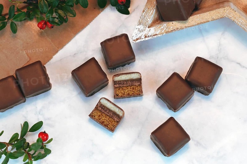 German traditional sweets called Dominosteine, food sold around Christmas season consisting of gingerbread, jelly and marzipan layers and covered with chocolate icing