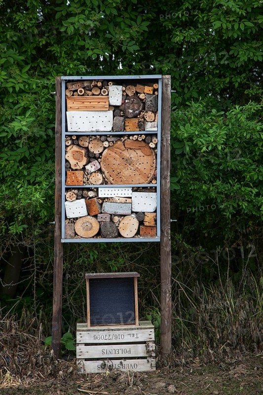 Insect hotel for solitary bees and artificial nesting place for other insects, invertebrates with nesting holes in hollow trunks, bricks and wooden blocks