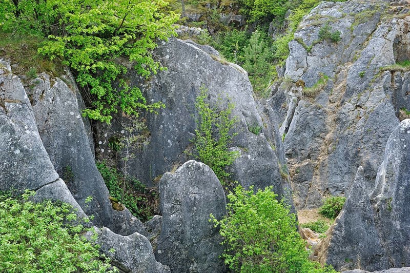 Eroded rocks of a gorge in the Fondry des Chiens nature reserve, a sinkhole near Nismes in Viroinval in the Ardennes, Belgium, Europe