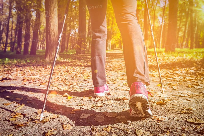 Nordic walking: adventure and exercising concept, woman hiking, legs and nordic walking poles in autumn nature. With flare and light leak