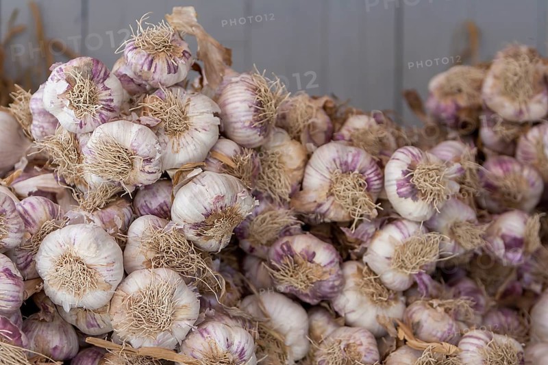 Market stall with garlic, garlic bulbs, weekly market market, Sault, Département Vaucluse in the region Provence-Alpes-Côte d'Azur, France, Europe