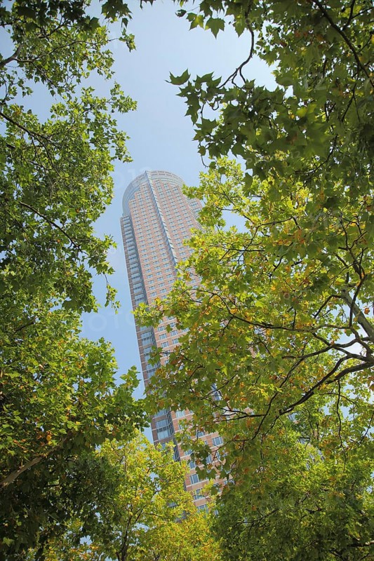 Messeturm 257m, view up, green, branches, deciduous tree, perspective, tower, Messe, Bockenheim, Main, Frankfurt, Hesse, Germany, Europe