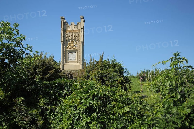 Neo-Gothic Monument to Queen Victoria, Hochheim am Main, Taunus, Hesse, Germany, Europe