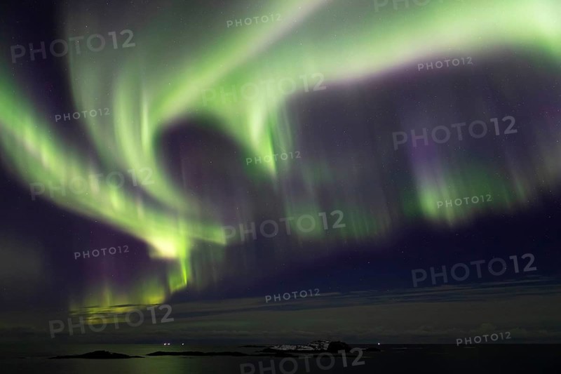 Northern Lights (Aurora borealis) in green and pink over the North Sea, Andøya, Vesterålen, Norway, Europe