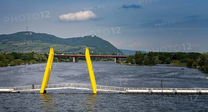 Ponte Cagrana, bridge in Donaucity, Vienna, Austria, Europe