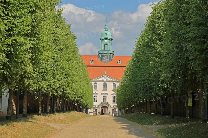Avenue with walkway in the castle park, garden art, baroque garden, tower helmet, footpath, row, series, vanishing point, castle, Lichtenwalde, Niederwiesa, Saxony, Germany, Europe