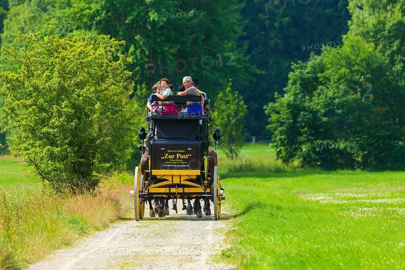 8th stagecoach meeting in Grillenburg