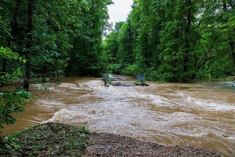 Floods in Grimma