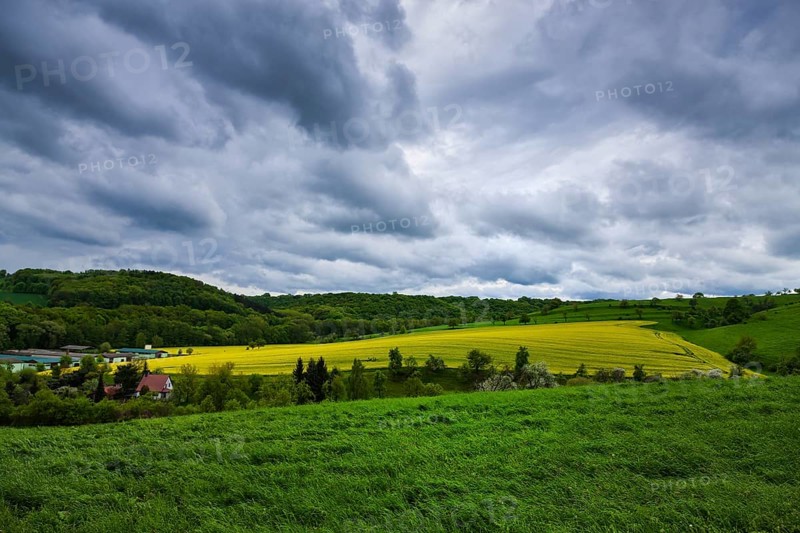 Fields near Pinkowitz