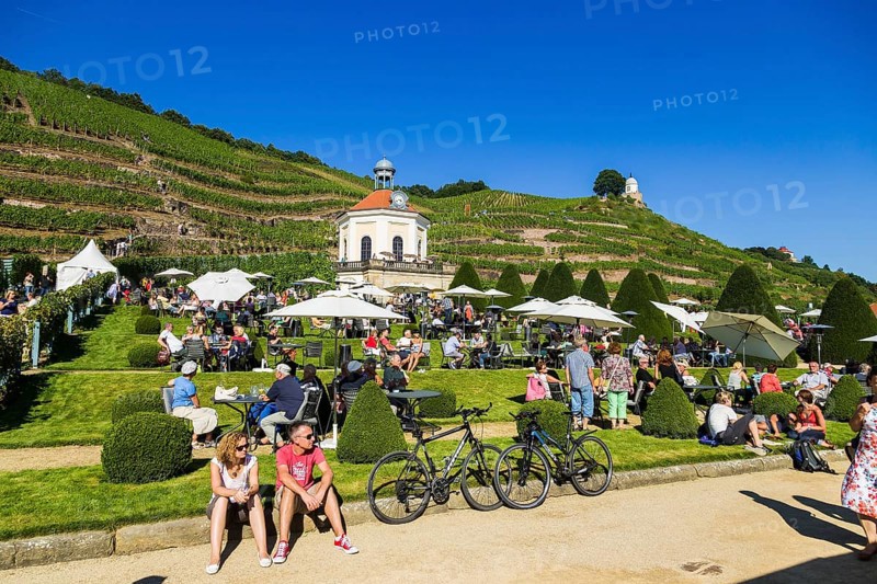 Wackerbarth Castle or Wackerbarths Ruh is a Baroque castle surrounded by vineyards in the Niederlößnitz district of Radebeul on the road to Meißen, which serves as the seat of the Saxon State Winery. The winery belongs to the Lößnitz vineyard and is located in the Radebeuler Johannisberg vineyard