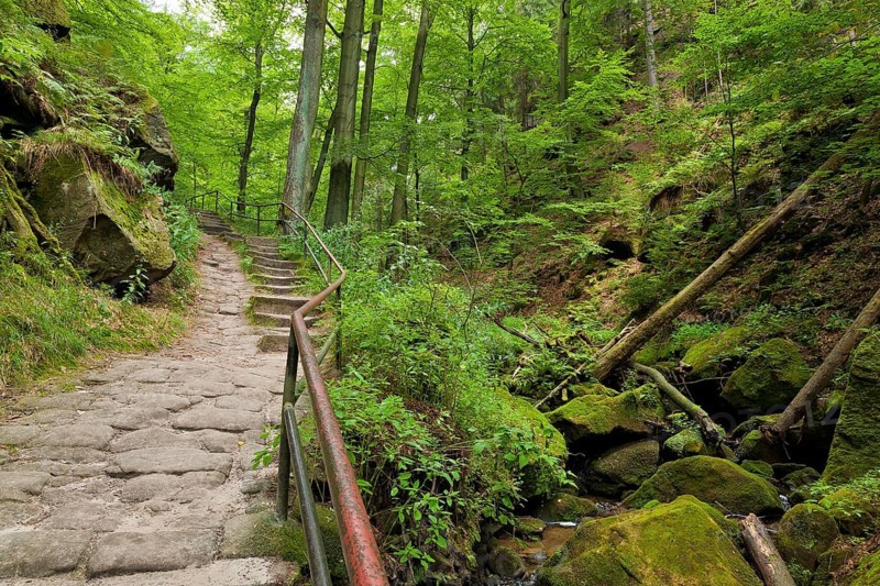 Amselgrund in Saxon Switzerland