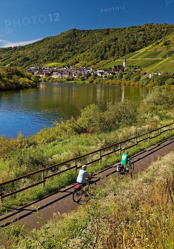 Cyclists on the Moselle cycle path with a view of the village of Bremm, Rhineland-Palatinate, Germany, Europe