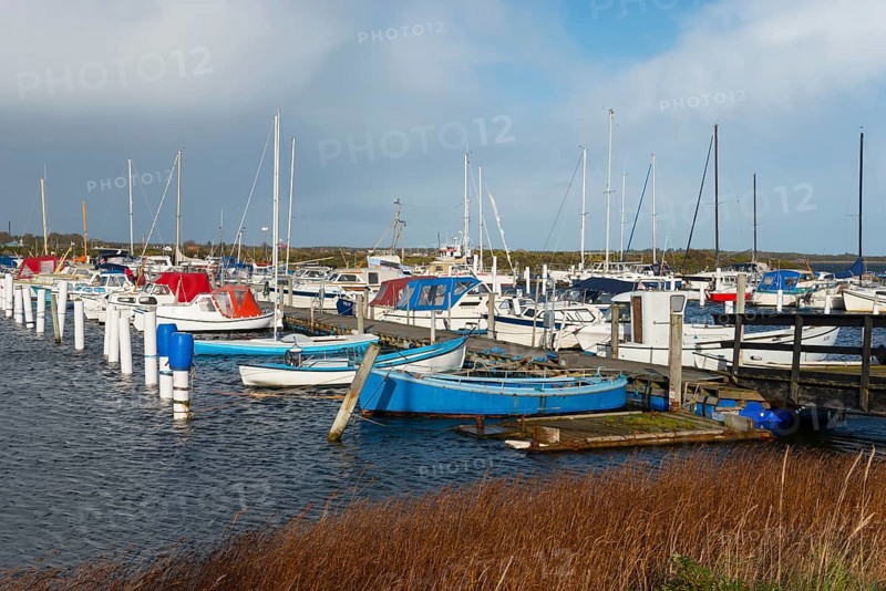 Marina, Egense, Mou, Aalborg, North Jutland, North Jutland, Limfjord, Kattegat, Denmark, Europe