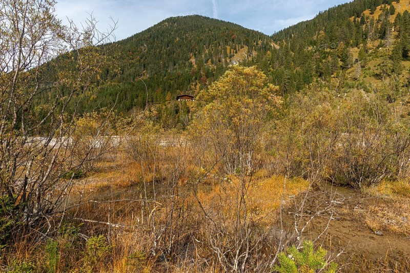 Rißbach stream in the Rißtal valley, boggy area in the riverbed, Karwendel nature park Park in autumn, Tyrol, Austria, Europe