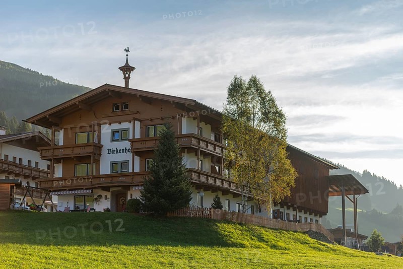 Vorderlanersbach, Tuxer Tal, Tux, Zillertal Alps, alpine mountain world, pension, birch, Tyrol, Austria, Europe