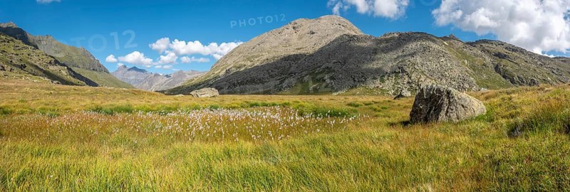 Valley in the rocky mountains of the Italian Alps in the Gran Paradiso National Park. Panoramic view, panorama. Valsavarenche, Aosta, Italy, Europe