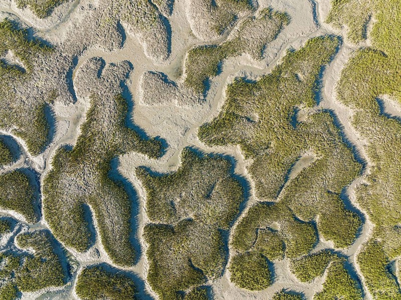 Network of dry channels and streams at low tide, in the marshland of the Bahía de Cádiz, aerial view, drone shot, Cádiz province, Andalusia, Spain, Europe