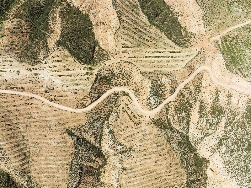 Dirt road and areas of reforestation in the Gorafe Desert with green surroundings after some rainfalls, aerial view, drone shot, UNESCO Granada Geopark, Granada province, Andalusia, Spain, Europe