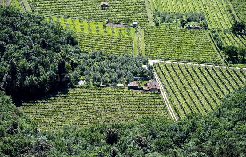 Fields and small huts from above, Sarca Valley, Garda Mountains, near Dro, Arco, Trentino-Alto Adige, Italy, Europe