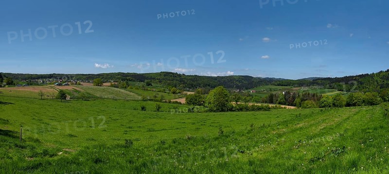 Landscape with orchard in the Black Forest near Emmendingen, Baden-Württemberg, Germany, Europe