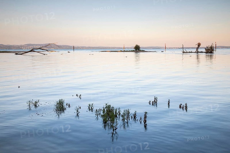 Island in Lake Constance, dawn, morning glow, summer, dead wood, summer, mouth of the river Argen, Langenargen, Baden-Württemberg, Germany, Europe