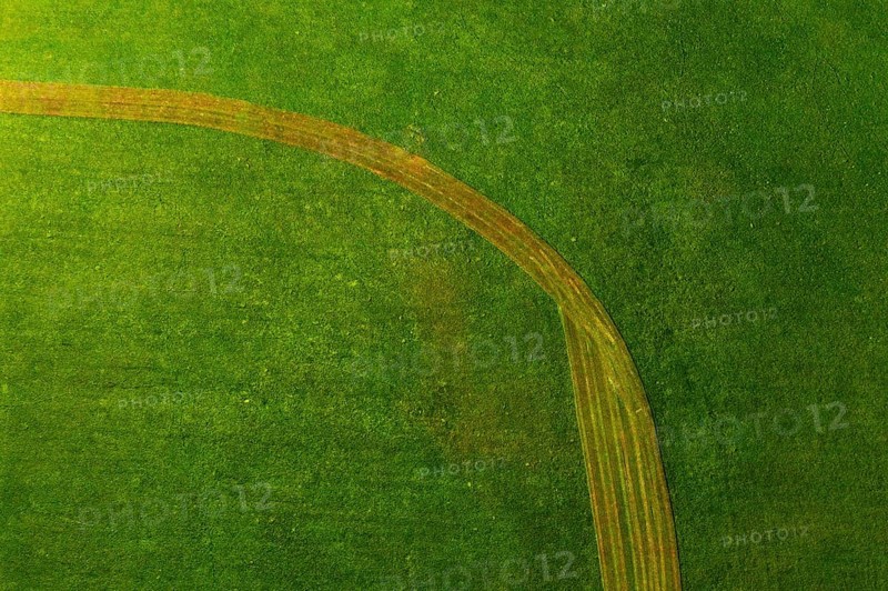 Drone image, structure of a mown meadow, from above, structure, agriculture, agricultural landscape, Hausruckviertel, Upper Austria, Austria, Europe