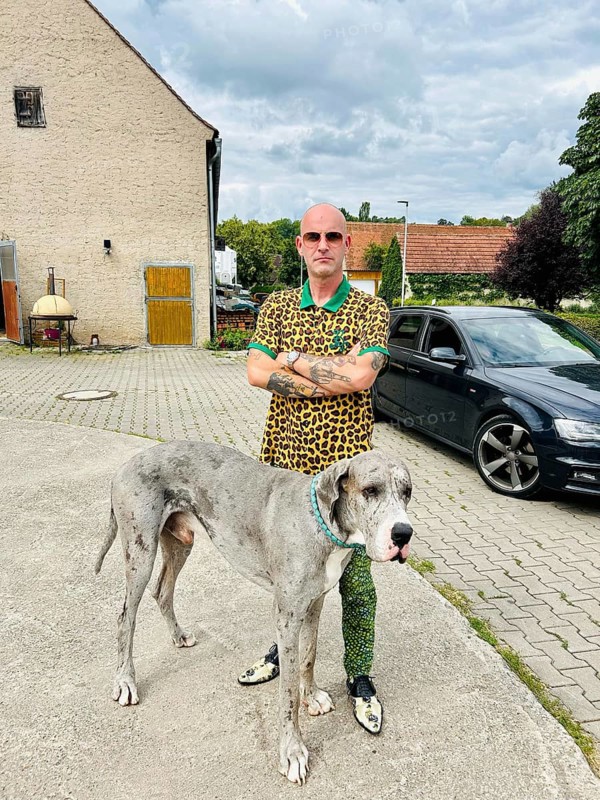 Young man with a Great Dane, Bavaria, Germany, Europe