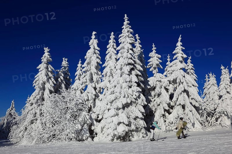Winter landscape in the Fichtelgebirge, Bayreuth district, Upper Franconia, Bavaria, Germany, Europe