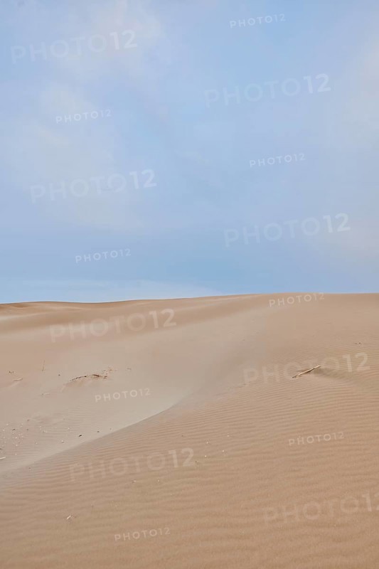 Beach "Platja del Fangar", sand dunes, Vegetation, nature reserve, ebro delta, Catalonia, Spain, Europe