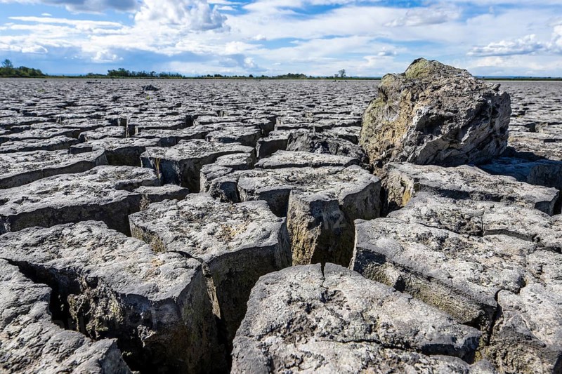 Cracked earth, heavily dried out Zicksee, Lake Neusiedl-Seewinkel National Park, Burgenland, Austria, Europe