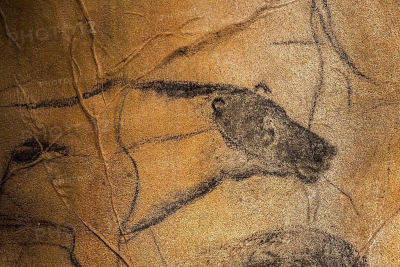 Replica of prehistoric rock paintings of the Chauvet Cave, Chauvet-Pont-d'Arc Cave, Ardèche, France, showing extinct cave lion, Europe