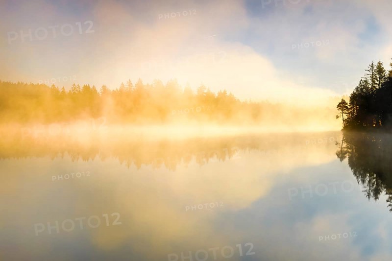 Backlit sunrise with wafts of mist over the mirror-smooth moorland lake Étang de la Gruère in the canton of Jura, Switzerland, Europe