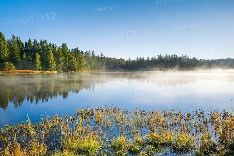 Wafts of mist over the mirror-smooth mire lake Étang de la Gruère in the canton of Jura, Switzerland, Europe