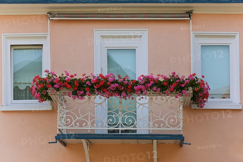 Balcony with flower boxes, cranesbill (Geranium), pokebills, red and pink flowers, window, house front, Eningen unter Achalm, Baden-Württemberg, Germany, Europe