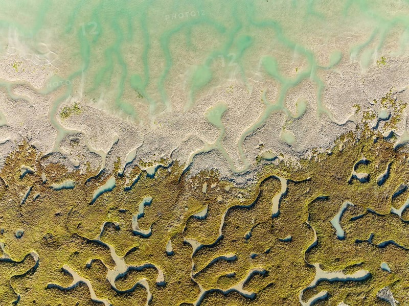 Network of channels and streams at low tide, in the marshland of the Bahía de Cádiz, aerial view, drone shot, Cádiz province, Andalusia, Spain, Europe