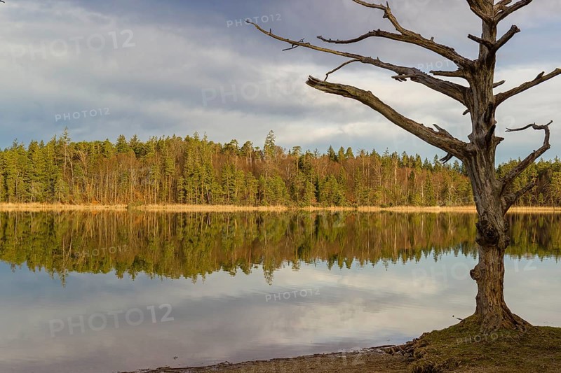 Lake Fohnsee of the Ostersee-group in early morning light