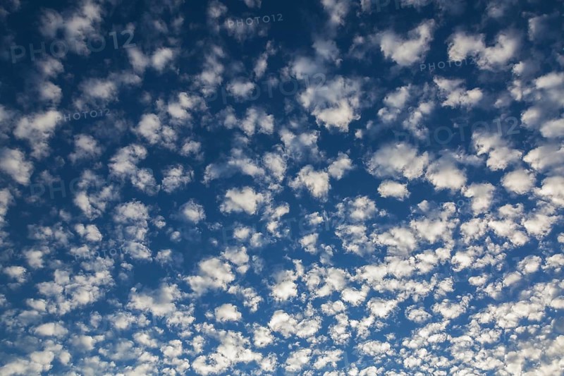 High altitude white cirrocumulus fleecy clouds in blue sky at sunrise in autumn, Laval, Quebec, Canada, North America