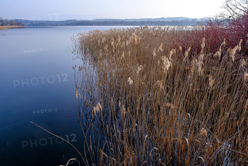Waginger See, Tachinger See, at the jetty near Tettenhausen, Rupertiwinkel, Upper Bavaria, Bavaria, Germany, Europe