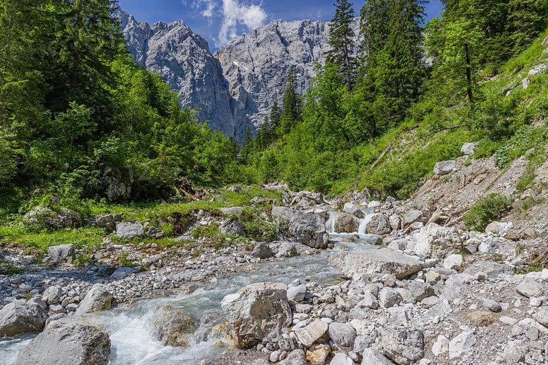 Enger Grund Creek in the Nature conservancy area Grosser Ahornboden. Sycamore maple trees, Acer pseudoplatanus, in summer. Karwendel mountains in the background. Austria