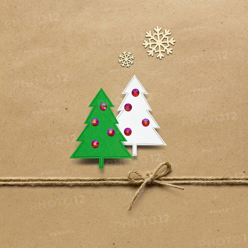 Creative concept photo of paper Christmas trees on a brown background