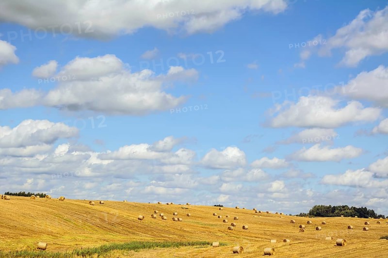 A Lot Of Haystacks On The Field In Lithuania