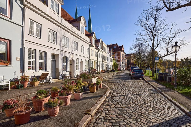 Street An der Obertrave, flower pots with plants, cobblestone pavement, lantern, trees, backlight, Old Town, Hanseatic City of Lübeck, independent city, Schleswig-Holstein, Germany, Europe
